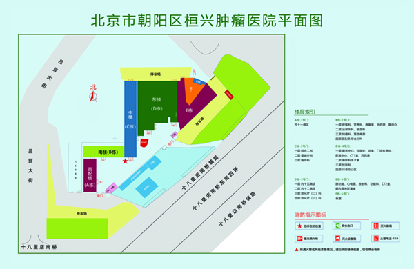 免费日女人逼北京市朝阳区桓兴肿瘤医院平面图